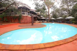 Swiming-pool-1